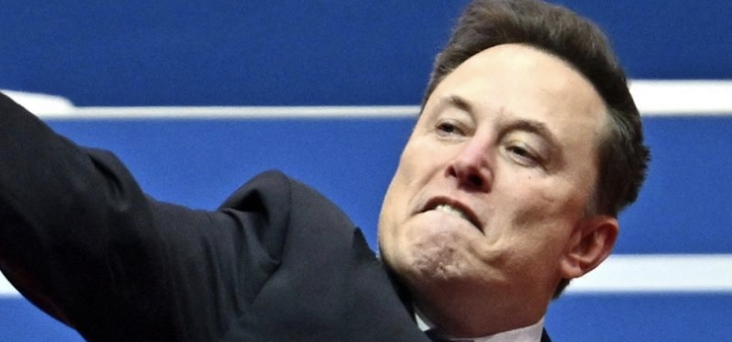 Fraud Gamer Elon Musk Encourages Germans to Forget About the Holocaust in AfD Speech